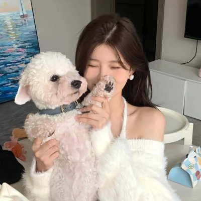 家，亲爱的家